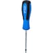 TX screwdriver, T10 x 80 mm - Screwdriver TX - 1