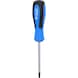 TX screwdriver, T25 x 100 mm - Screwdriver TX - 1