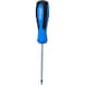 TX screwdriver, T10 x 100 mm - Screwdriver TX - 1