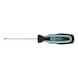 STAINLESS STEEL flat-head screwdriver, 4 mm - STAINLESS STEEL Slotted Screwdriver - 1