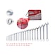 Ring spanner set, offset, 21-piece 6-32 mm - Combination spanner set - 3