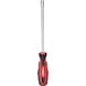 ERGOTORQUEplus socket screwdriver, 6 mm 159.1204 - ERGOTORQUEplus socket screwdriver - 3