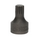 1/4 inch bit socket XZN, M7, extra short - 1/4 inch bit socket XZN - 3