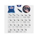 Plug release tool set, 23 pieces - Electrical/electronic components (automotive, other) - 3