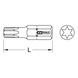 KS TOOLS 10mm Bit TX, 30mm, T10 - BRONZEplus Bit-Stecknuss - 2