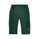 UVEX Men's Bermuda shorts uvex suXXeed industry green, dark green 58 7077312 - Bermuda pants - 3