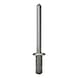 GESIPA Blindniete G-Bulb A2-Edelstahl Flachrundkopf 6,4 x 25 Pack mit 150 St&uuml;ck 1433942 - Blindniet - 1