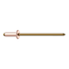 GESIPA Blind rivets, copper/bronze, flat-round head, 3 x 8 pack of 500 pieces 1433661 - Blind rivet - 2