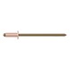 GESIPA Blind rivets, copper/bronze, flat-round head, 3 x 8 pack of 500 pieces 1433661 - Blind rivet - 1