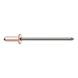 GESIPA Blindniete Kupfer/Stahl Flachrundkopf 3 x 6 Pack mit 500 St&uuml;ck 1433655 - Blindniet - 2