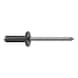 GESIPA Control cabinet rivet, flat-round head, aluminium/steel 4.8 x 15.0, pack of 250 1712694 - Blind rivet - 2