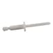 GESIPA Blindniete Kunststoff Flachrundkopf 4 x 8 Pack mit 500 St&uuml;ck 1455337 - Blindniet - 1