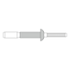 GESIPA Blindniete Alu/Alu Flachrundkopf 6,4x14,1 Pack mit 2000 St&uuml;ck 1433806 - Blindniet - 2
