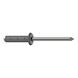 GESIPA Blindniete Alu/Niro 4,8 x 10 RAL 9007 Graualuminium Pack mit 500 St&uuml;ck 1456136 - Blindniet - 2