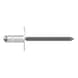 GESIPA Blindniete Stahl/Stahl Grosskopf 4 x 17 K 12 Pack mit 500 St&uuml;ck 1455976 - Blindniet - 1