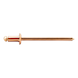 GESIPA Plumber's rivets, copper/bronze, flat round head, 3.2 x 6, pack of 500, 1538404 - Blind rivet - 1