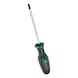 BOSCH Handwerkzeuge Schraubendreher Pozidriv PZ2 x 125 mm 1600A03DS8 - Schraubendreher-Satz - 1