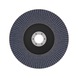 BOSCH X451 Fan-shaped grinding disc, 150 x 22.23 mm, K80, Z29, 15-piece set 2608626155 - Flap disc - 2