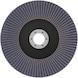 BOSCH X451 Fan-shaped grinding disc, 150 x 22.23 mm, K40, Z29, 15-piece set 2608626153 - Flap disc - 2