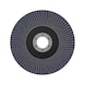 BOSCH X451 Fan-shaped sanding disc, 125 x 22.23 mm, K80, Z27, 15-piece set 2608626150 - Flap disc - 2