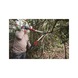 MILWAUKEE Astschere Bypass 50 mm 4932498625 - Gartenschere - 2