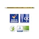 STAEDTLER Noris 120 pencil, hardness: 2H, sharpened, yellow and black. Box of 12 - Pencil (office) - 3