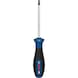 BOSCH PRO screwdriver TX25 x 100 mm 1600A039SC - Torx screwdriver - 1