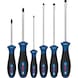 BOSCH PRO screwdriver set PH/SL, 6-piece 1600A039PE - Screwdriver set - 1
