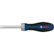 BOSCH ratchet bit screwdriver 1600A039PP - Ratcheting bit screwdriver - 1