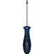 BOSCH screwdriver TX25 x 100 mm 1600A039TD - Torx screwdriver - 1