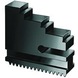 R&Ouml;HM Rotary jaw DB, size 200, set of 3 jaws, inwardly stepped jaw, hardened - Cutting machine tool (accessories, additional equipment, other) - 3