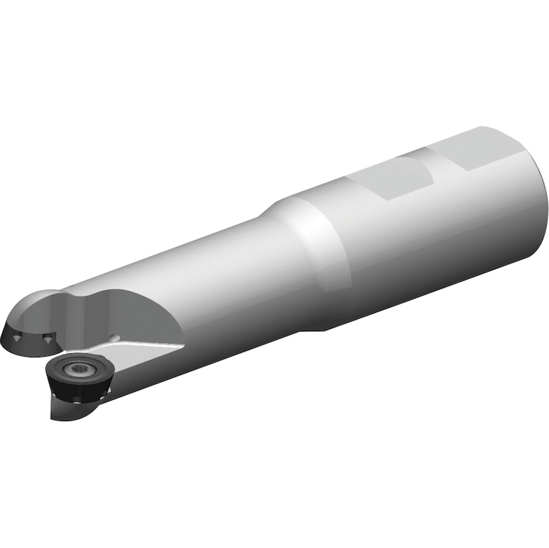 WIDIA copy and face milling heads M100™ with Weldon shaft WIDIA copy and face milling heads M100™ with Weldon shaft