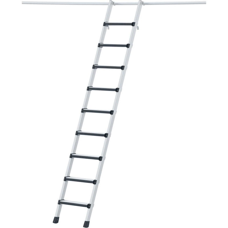 4062765.jpg