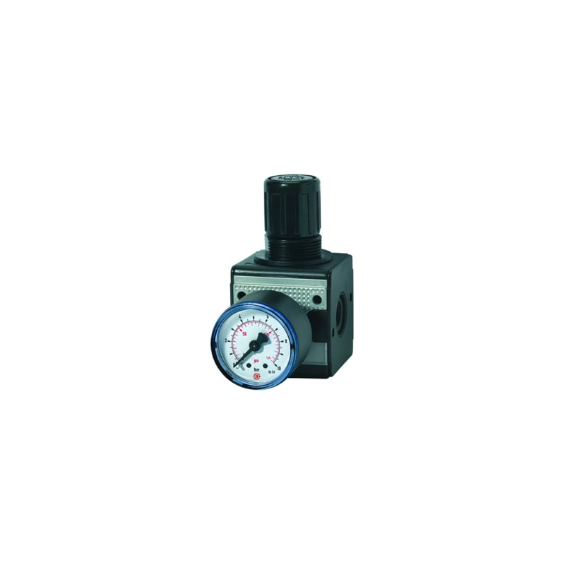 Riegler Multifix RIEGLER Druckregler multifix mit Manometer 100421