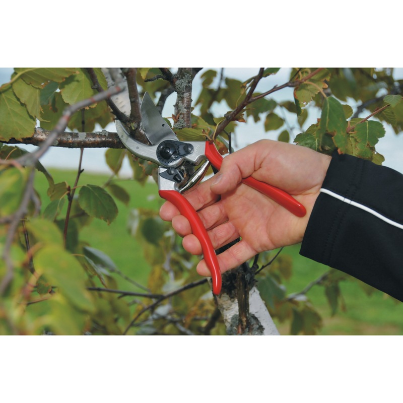 FELCO model 2 pruning shears - FELCO 2 pruning shears/secateurs
