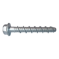 Fix master Screw anchor, hexagon head, zinc flake coated
