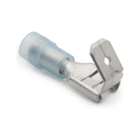 Lattaliitin naaras pitkällä holkilla uroshaaroitus PA