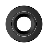 Koristekehys alasvalo Spot