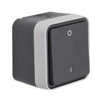 Pintakytkin IP55 W.1