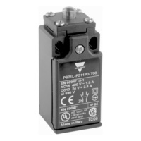 Rajakytkin PS21L Carlo Gavazzi