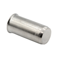 Rivet nut