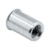 Rivet nut Round Reduced head Open ZN