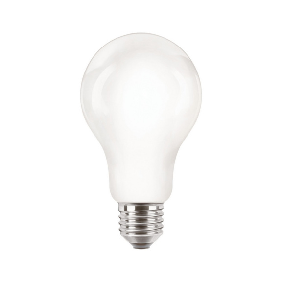  - LED-LAMP E27 840 A67 2000lm