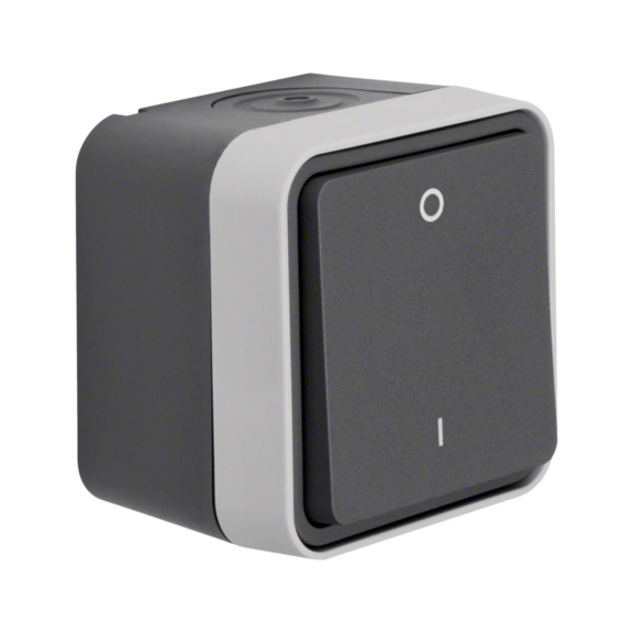 Pintakytkin IP55 W.1