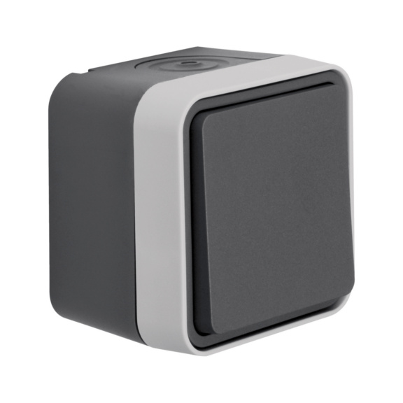 Vipupainike W.1 - VIPUPAINIKE 1-NAP 10A 250V IP55 PPJ HA