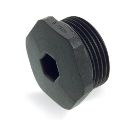  - BLANKING PLUG M25 895-1605