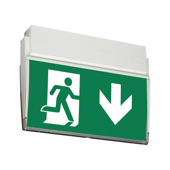  - EXIT LIGHT Y9071W120 24-230V 25M R/L/D