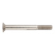 Hexagon screw, countersunk head - ISO 10642 A4 M4X65 - 1