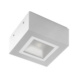 Kattovalaisin - VALAISIN MIMIK CEILINGTECH 10W 4K VA - 1