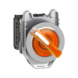 Switch knob Harmony XB4 - ILLUMINATED SELECTOR 2-POS OR LED XB4FK1 - 1